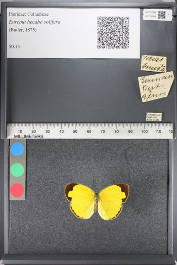 Media type: image;   Entomology 122988
